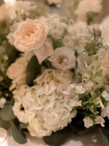 ANN + DAVID